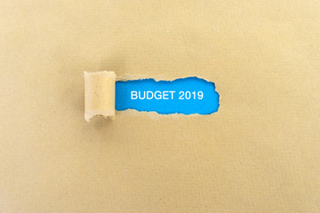 Budget 2019 text on torn paper - business concept