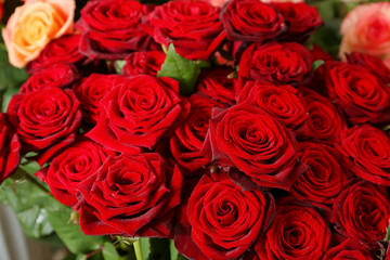 Bouquet of beautiful red roses