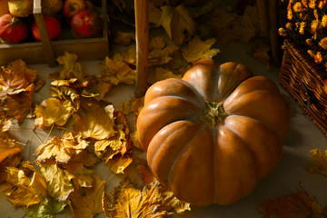 Naklejka na ściany i meble Whole fresh pumpkin with autumn leaves on floor