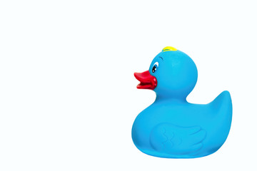Blue rubber duck isolated on white background