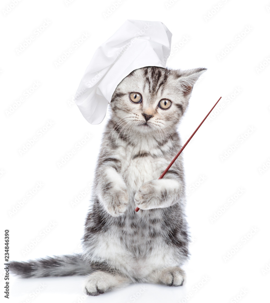 Poster Kitten in chef's hat pointing away with pointing stick. isolated on white background