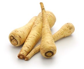 parsnips isolated on white background