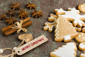 Homemade Christmas biscuits, star anise and cinnamon on rustic background.