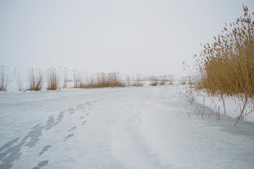 Traces of shoes on the frozen river.