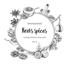 spices round frame design. hand painted illustration. Vintage sketchy style plants. Vector illustration