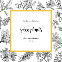 Flower frame design. hand painted illustration. Vintage sketchy style plants. . Vector illustration