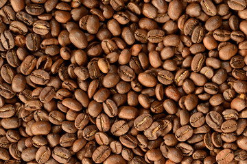 Roasted brown coffee beans pattern, background, top view
