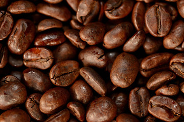 Roasted brown coffee beans pattern, background, top view