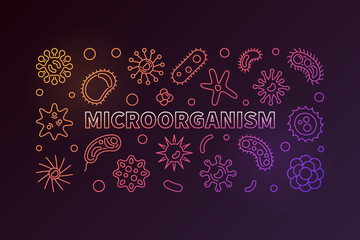 Microorganism vector colorful horizontal banner. Virology and microbiology concept illustration in outline style on dark background 