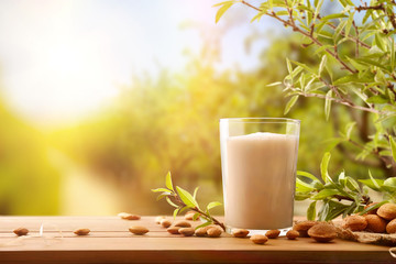 Almond drink on wooden table in the field