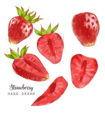 Hand drawn watercolor illustration of the different tasty red strawberry isolated on the white background.