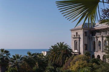 Fototapeta premium Fragment like view of nice European summer park. blurred background