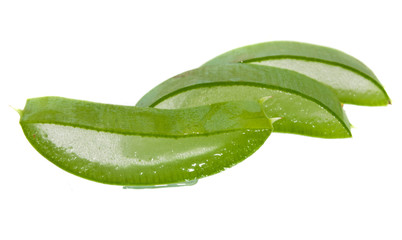 aloe isolated on white background