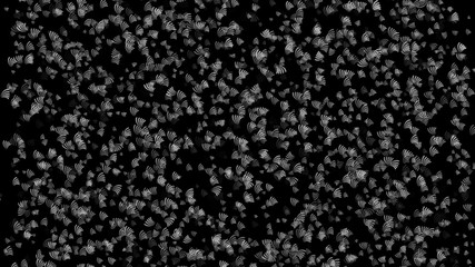 Abstract background pattern with plant matter.