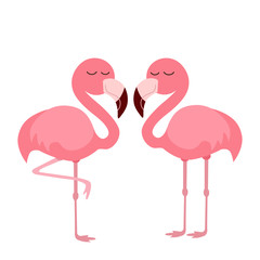 pink flamingo illustration