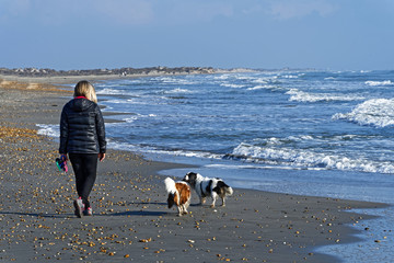 Femme et toutous bord de mer