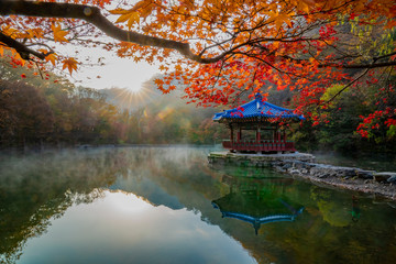 호수 위의 팔각정과 가을 풍경