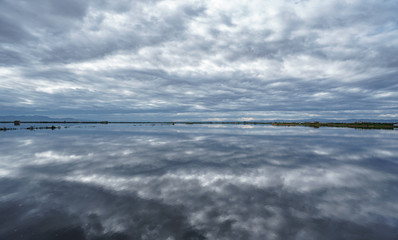 Fototapeta na wymiar Flooded rice field plantation with cloudy sky