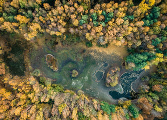 Herbstwald mit kleinem, ausgetrocknetem See aus der Vogelperspektive - Luftaufnahme