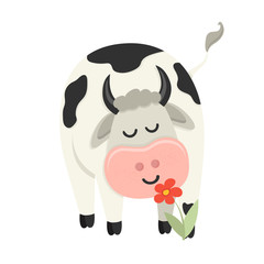 Cute cow sniffs a flower. Set of cute Cows character in various poses