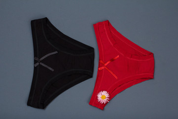 Beautiful women's cotton panties on gray background.