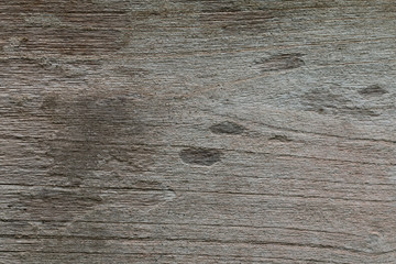 Old Wooden panel texture for background, vintage texture style