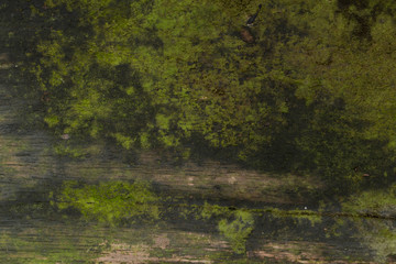 Old Wooden panel texture for background, vintage texture style