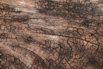 Old Wooden panel texture for background, vintage texture style