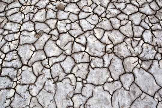Gray dry soil or cracked ground texture background. Takyr
