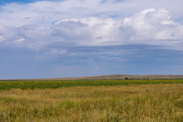 Incredible nature of Kazakhstan (Central Asia)