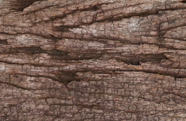 Old Wooden panel texture for background, vintage texture style