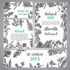 Hand drawn herbs and wild flowers banner Vintage collection of Plants Vector illustrations in sketch style Gift certificate