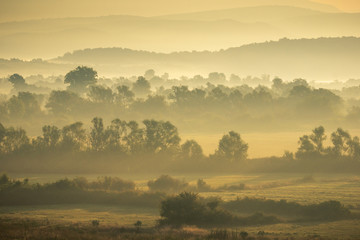 Fototapeta premium Foggy morning in Hutovo Blato Nature Park, Bosnia and Hercegovina