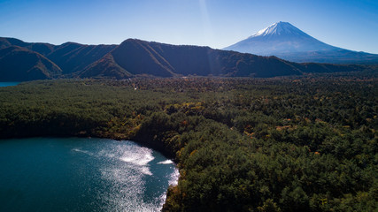 秋の富士山と西湖