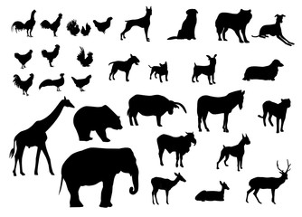Black silhouettes set of animals various types on white background