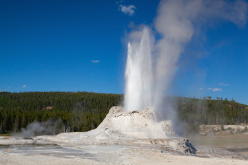 The eruption in Castle Geyser in Yellowstone NP, USA
