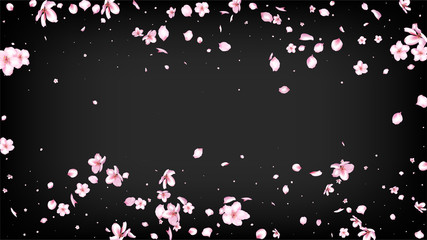 Nice Sakura Blossom Isolated Vector. Beautiful Showering 3d Petals Wedding Border. Japanese Blooming Flowers Wallpaper. Valentine, Mother's Day Feminine Nice Sakura Blossom Isolated on Black