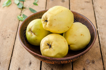 Quince on a dark background.