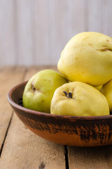 Quince on a dark background.