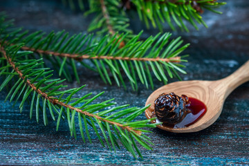 Home-made Jam  from pine cones, for improving immunity.