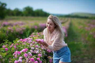 Fototapeta na wymiar Pretty Young tender woman walking in the tea roses field. Blond lady wearing jeans and retro hat enjoy summer day