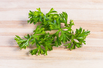 branch of parsley on a wooden tabletop