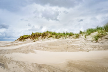 Sanddünen mit Dünengras bewachsen an der Nordsee bei stürmischem Wetter