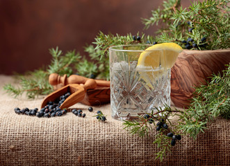 Cocktail gin, tonic with lemon and a branch of juniper with berries. - obrazy, fototapety, plakaty
