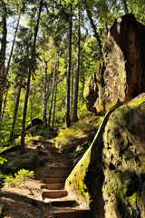 Felsentreppe, Schrammsteine, Elbsandsteingebirge, Sächsische Schweiz, Sachsen, Deutschland,...