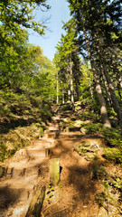 Felsentreppe, Schrammsteine, Elbsandsteingebirge, Sächsische Schweiz, Sachsen, Deutschland, Europa, Nationalparkregion Sächsische Schweiz, Unesco Weltnaturerbe