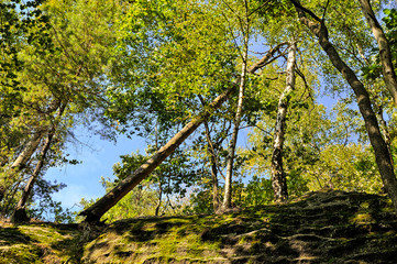 Schrammsteine, Elbsandsteingebirge, Sächsische Schweiz, Sachsen, Deutschland, Europa, Nationalparkregion Sächsische Schweiz, Unesco Weltnaturerbe