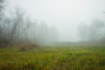 Misty morning on the forest. Beautiful autumn trees on a fog. The trail on a meadow. Frozen grass.