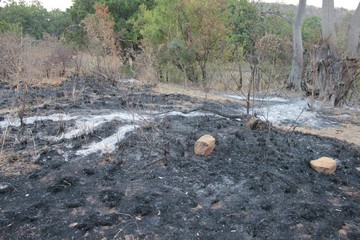 Obraz premium Afrika Botswana Natur Tiere