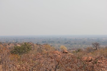 Afrika Botswana Natur Tiere